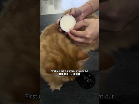 For Furry Friends Cat Body Healing Balm