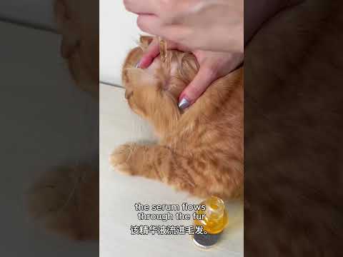 For Furry Friends Skin Soother Serum