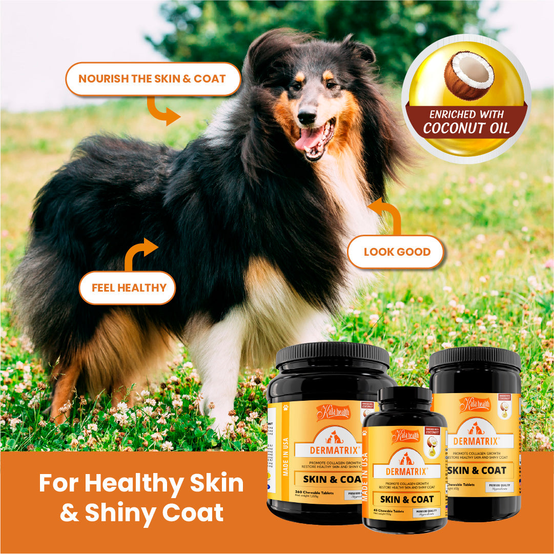 Kala Health DERMATRIX® Skin & Coat Supplement
