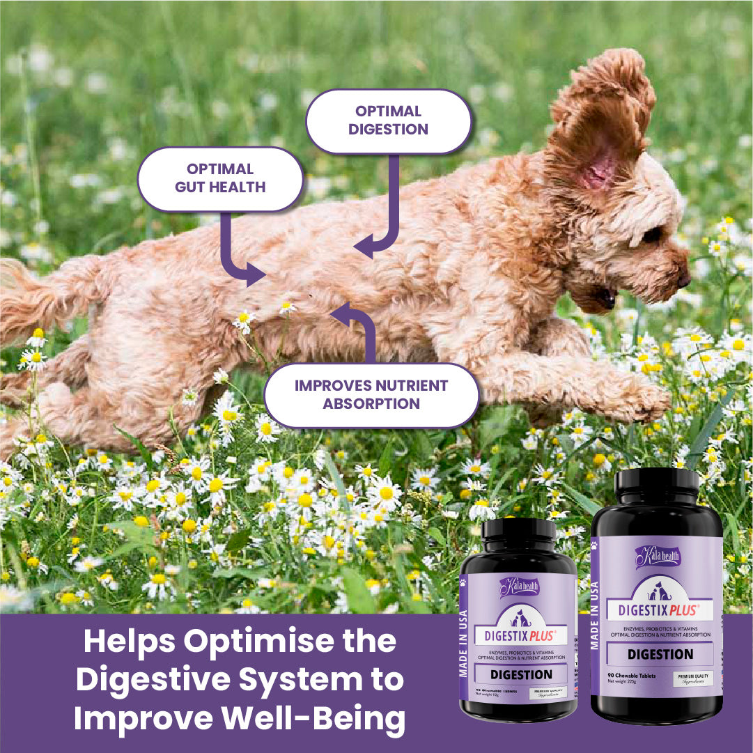 Kala Health DIGESTIX PLUS® Digestive Support Supplement