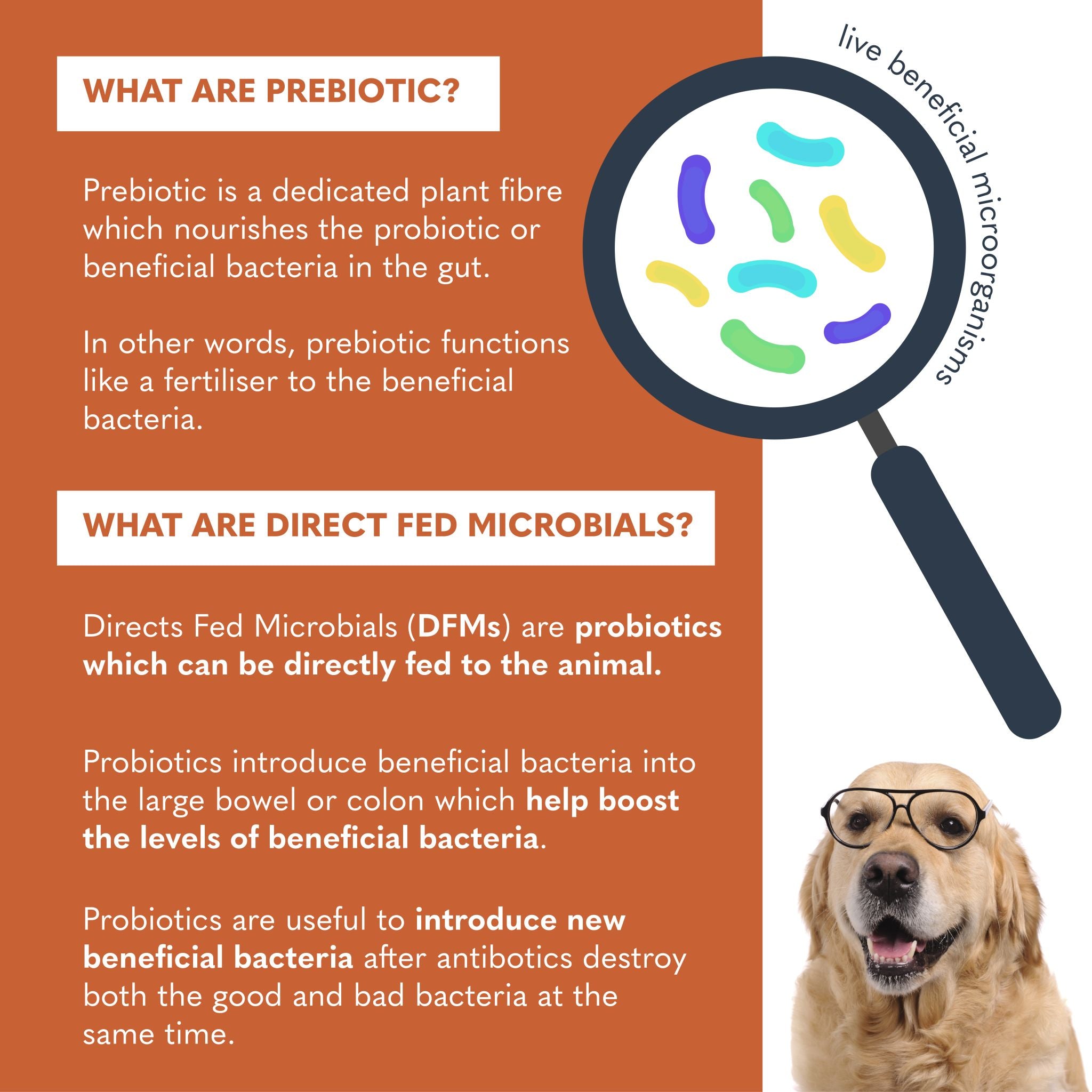 Kala Health PROBIOTIX® PLUS Probiotics & Prebiotics