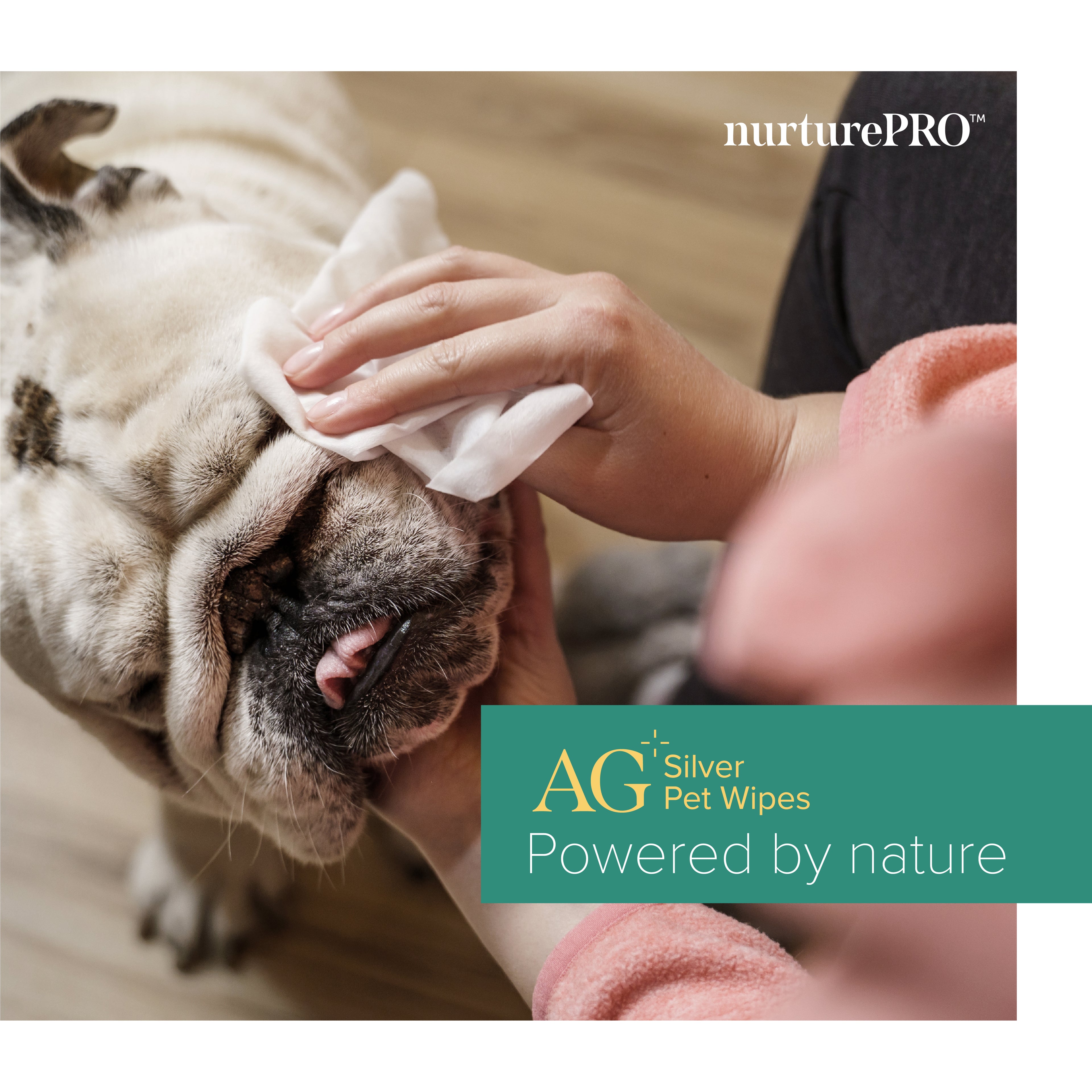 NurturePro AG+ Silver Pet Wet Wipes - 10 Sheets
