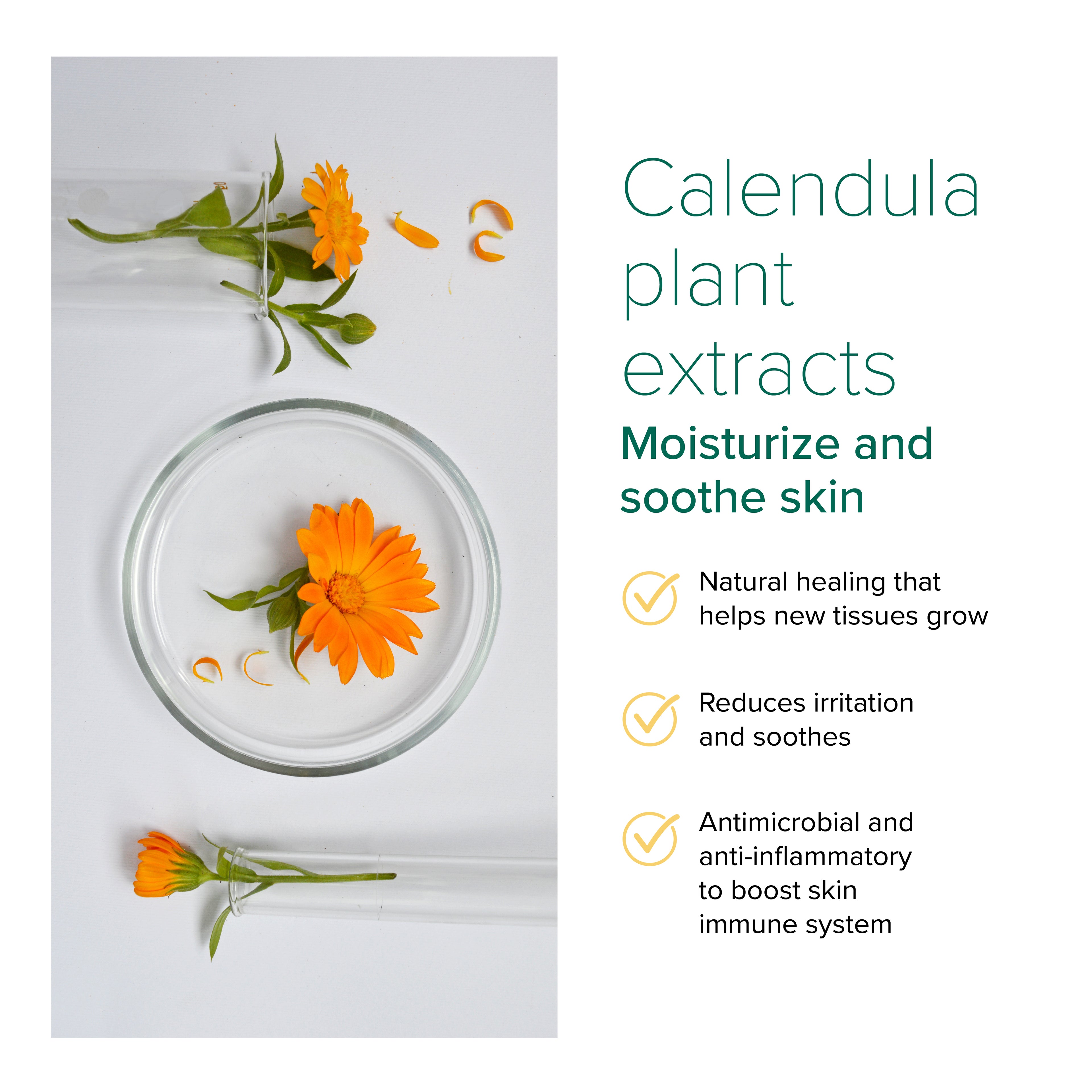 NurturePro AG+ Silver Pet Wet Wipes - 10 Sheets