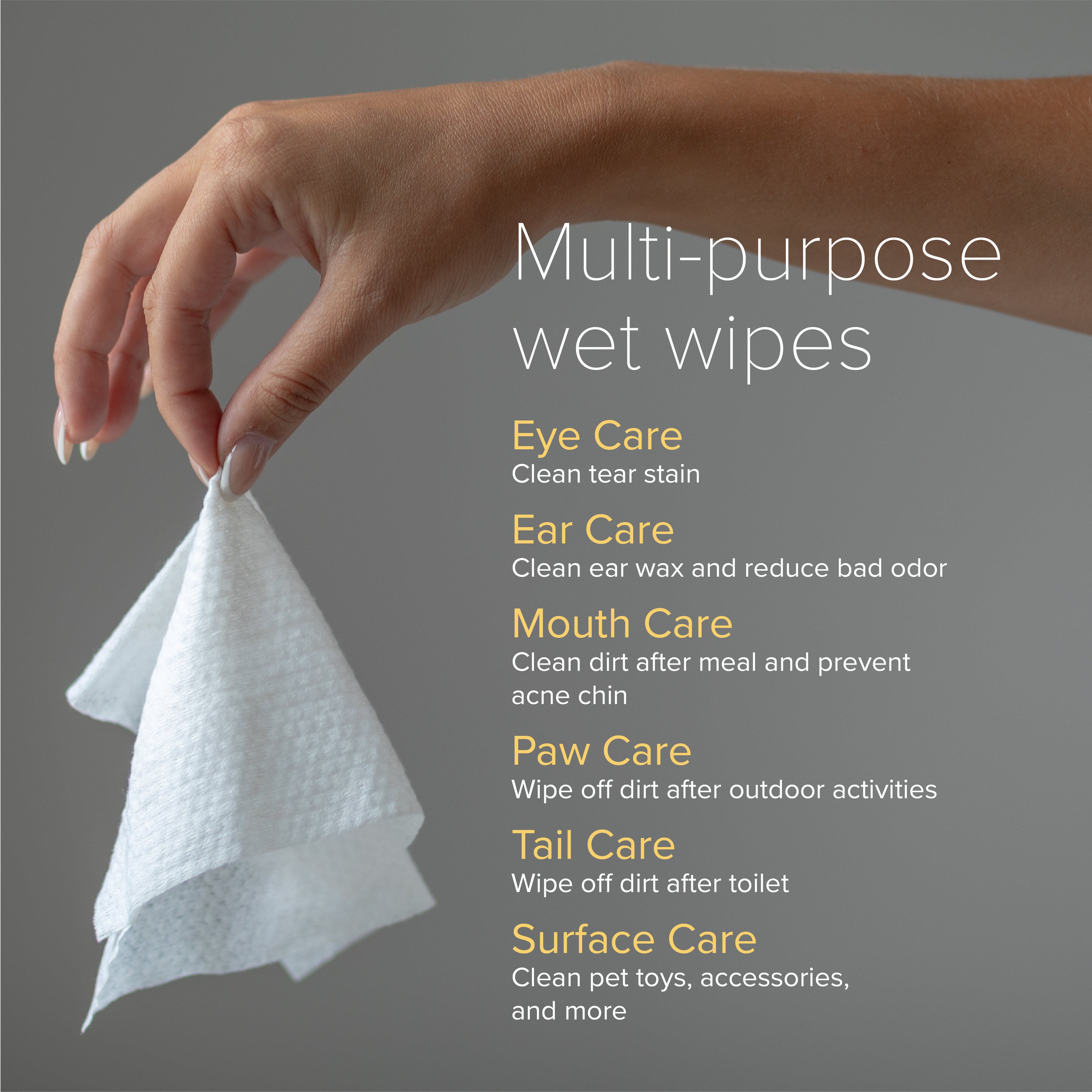 NurturePro AG+ Silver Pet Wet Wipes - 10 Sheets