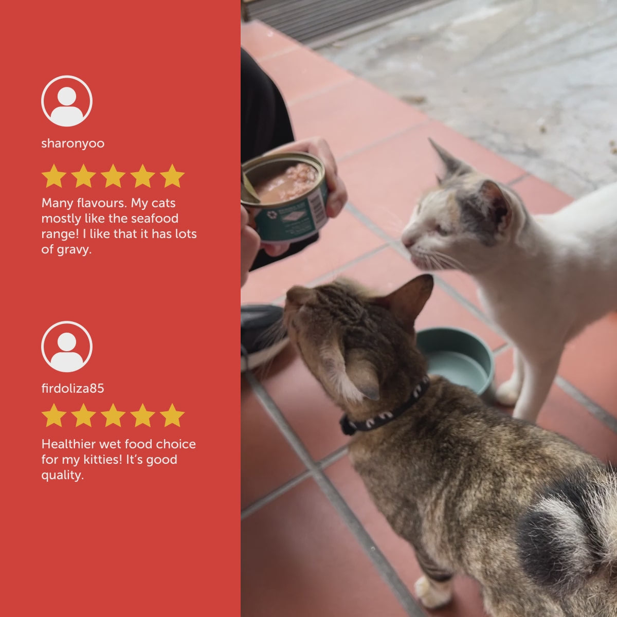 Loveabowl Wet Cat Food in Broth | Grain-Free Gourmet Hydration